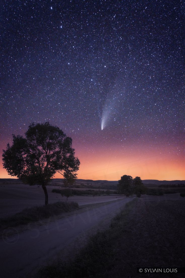 starry night star etoile